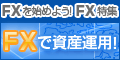 FX���W